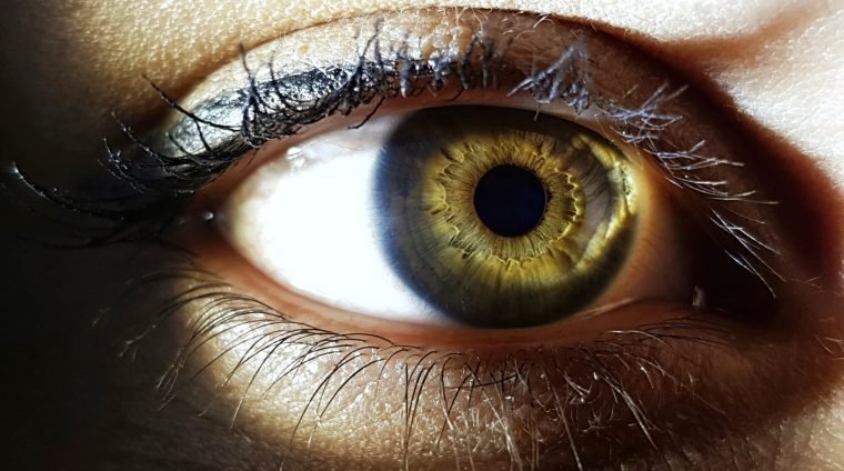 A closeup shot of the green eye of a woman