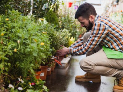 Introduction to Vegetable Gardening Techniques (Short)