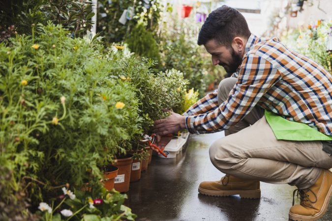 side-view-man-cutting-plants-greenhouse