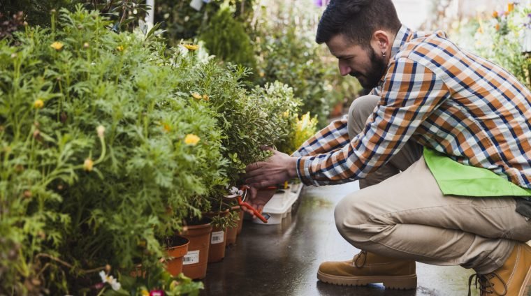 side-view-man-cutting-plants-greenhouse