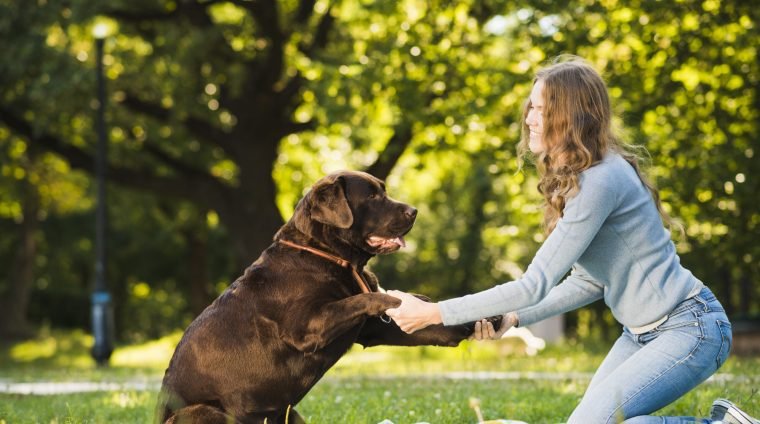 side-view-woman-enjoying-with-her-dog-garden